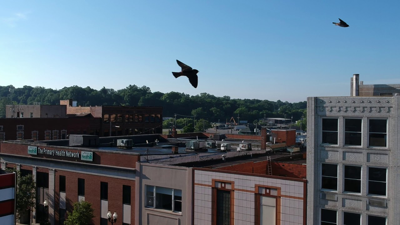 Downtown Sharon, Pa 6/29/2020 8:15 AM - YouTube