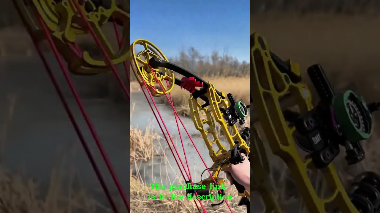 Steel Ball Compound Bow Kit, Dual Purpose Bow 