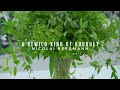 A Rewild Kind of Bouquet