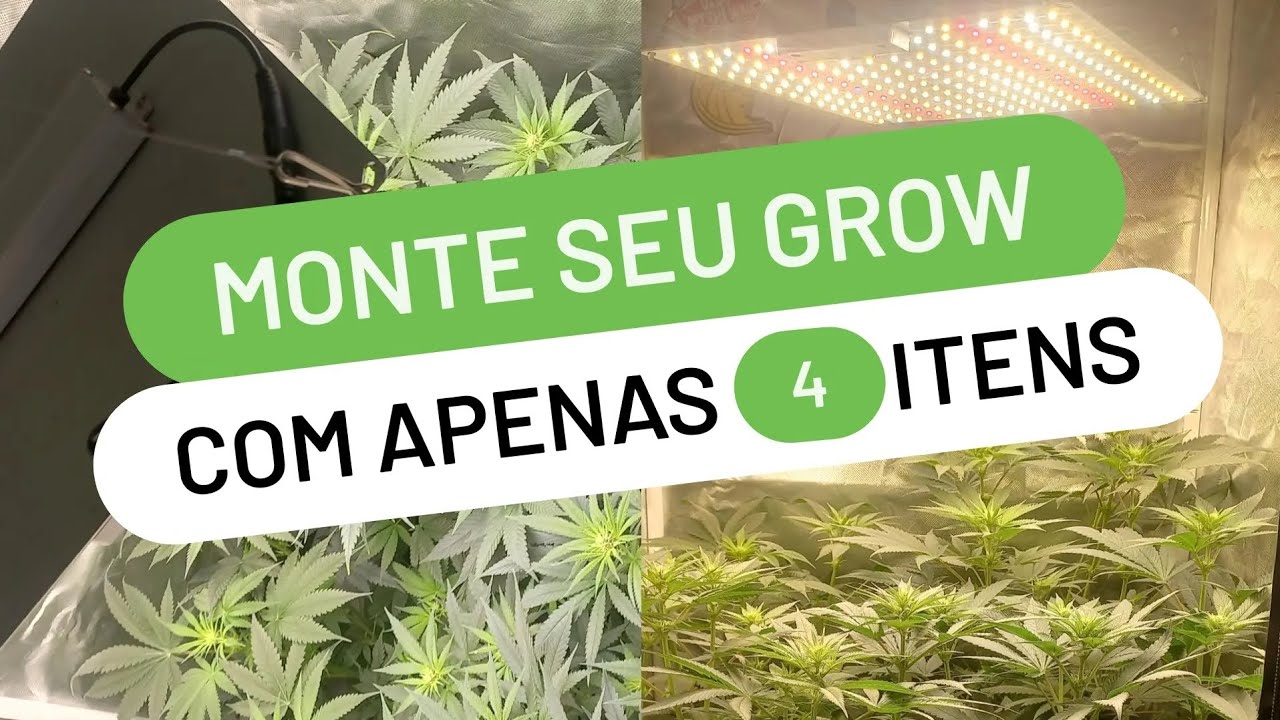 Monte seu GROW com Apenas 4 ITENS!
