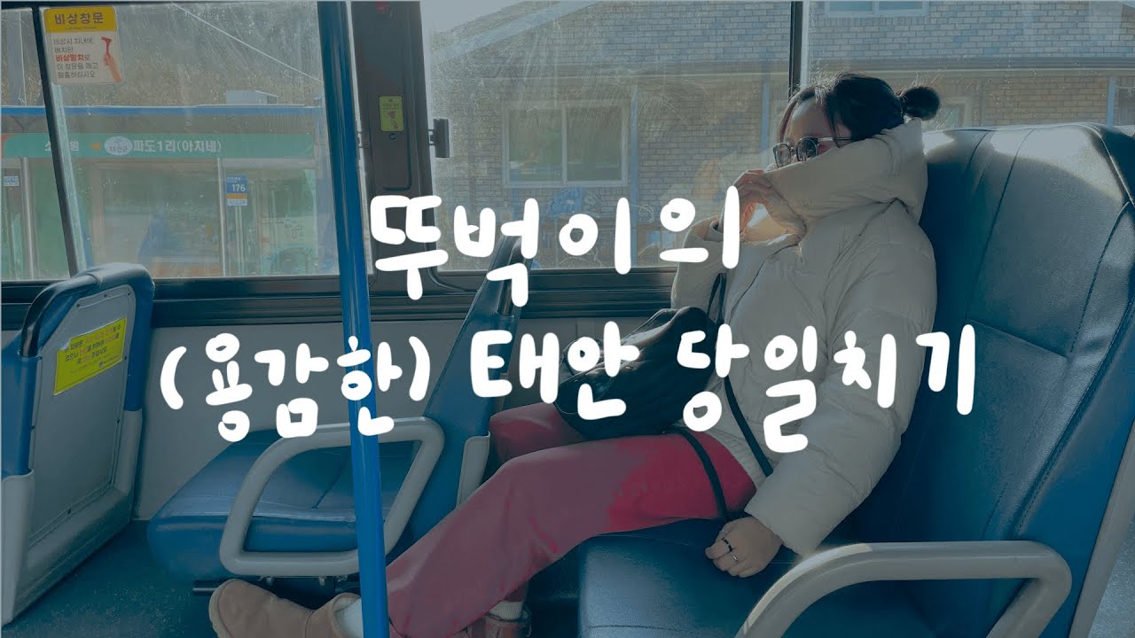 [뚜벅이의 태안 당일치기 여행 🚌🏃‍♀️] 작고 조용한 서해안 땅끝마을 파도리, 커피인터뷰, 인생버거 | 험난한 해식동굴 찾아가기