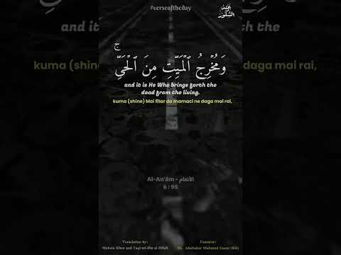 Verse Of The Day Now With Sheikh Abubakar Gumi Hausa Translation