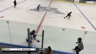 Highlights of 2020-21 CCHA PWAA at Minnetonka - February 21 2021