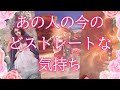 あの人の今のどストレートな気持ち⚠️ストレートすぎてエグい部分がありますのでご注意ください😨⚡タロットオラクル占い