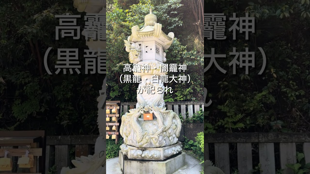 福井のパワースポット！黒龍の力を授かる【毛谷黒龍神社】 #福井旅行 #福井県 #パワースポット #黒龍 #神社 #japaneseshrine