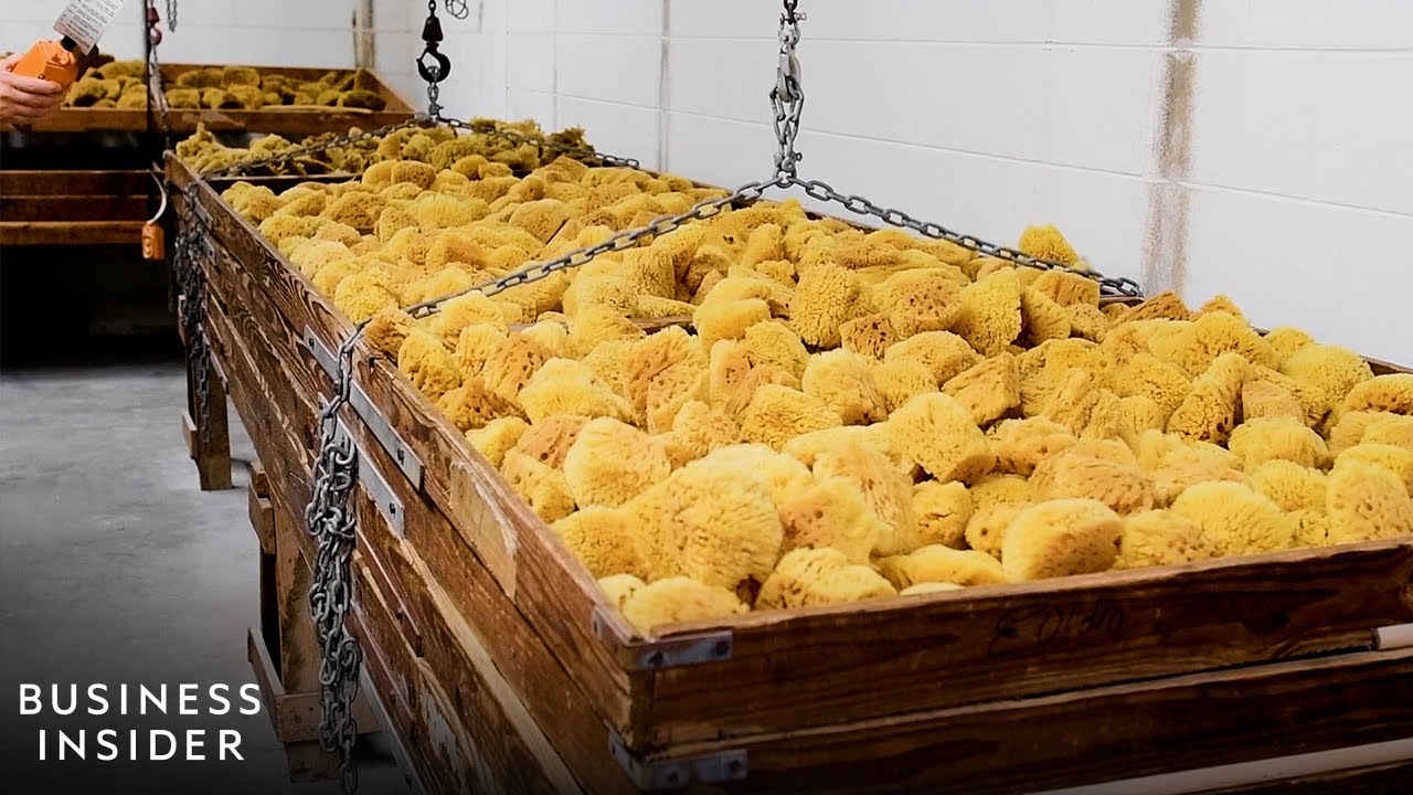 How America's Largest Natural Sponge Processor Cleans 1 Million Sponges A Year | Business Insid