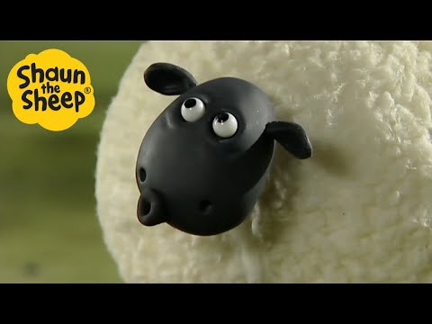 Shaun the Sheep 🐑 EPIC SHEEP - Cartoons for Kids 🐑 Full Episodes 🐑 Full Season 1