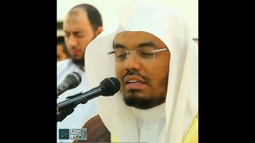 تلاوة عراقية خاشعة للشيخ  ياسر الدوسري #quran