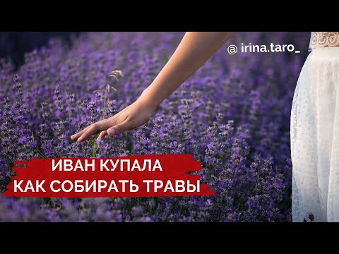 ИВАНА КУПАЛА Как собирать травы &#55356;&#57151;