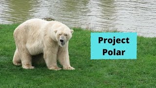 Tour of Project Polar at Yorkshire Wildlife Park