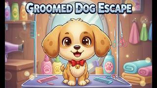 G4K Groomed Dog Escape Game| Games4King Walkthrough screenshot 5