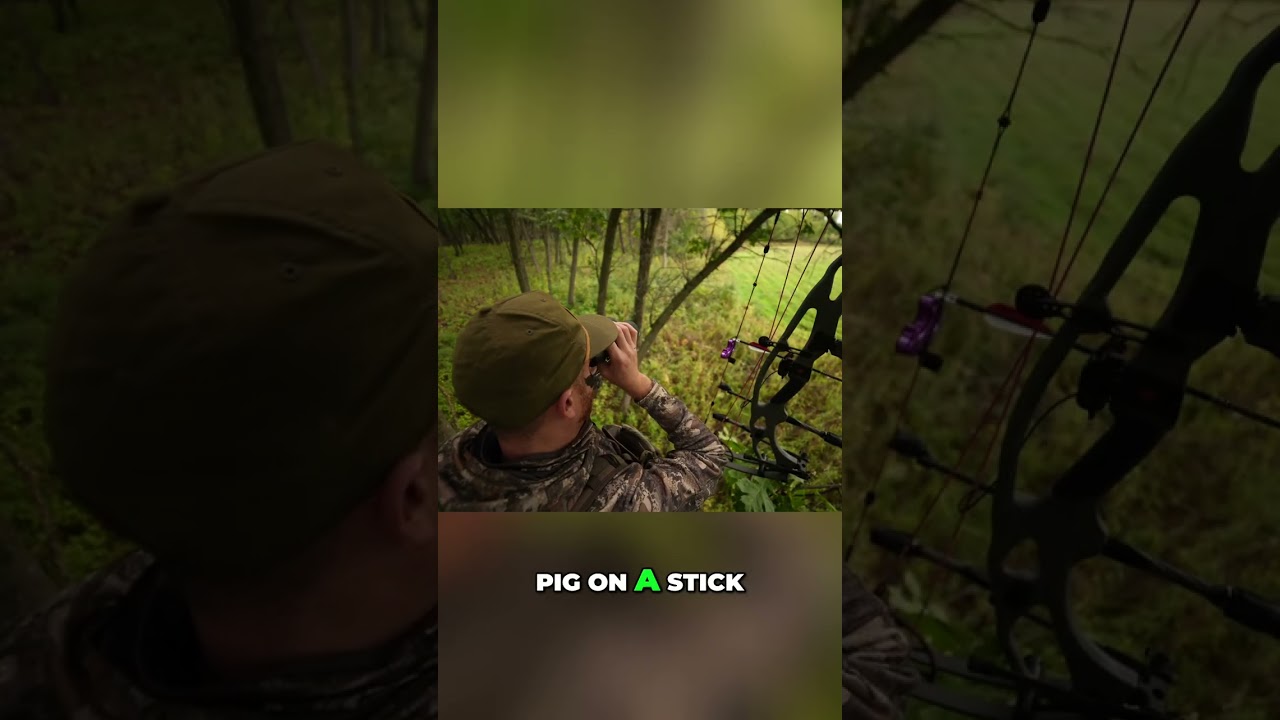 Hunter Spots Deer:  #shorts