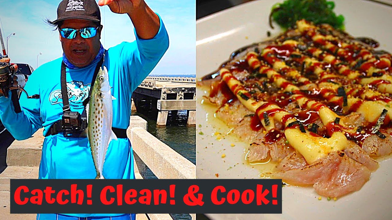 Spanish Mackerel Catch Clean & Cook YouTube