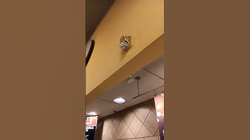 #whatafirealarmfail System Sensor SpectrAlert Classic Horn Strobe Coming Off The Wall?!!?