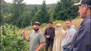 Ganjier/Conversations w/Cultivators: Pineapple Dragon (Farm Cut) Nikka T, Johnny Casali, Jesse Hill