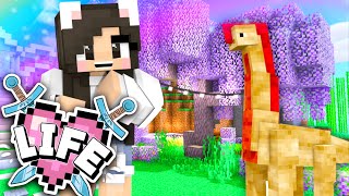 💙Farms, Dinos,   Death? X Life Ep.11