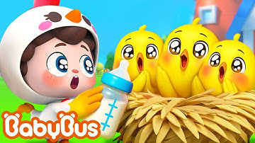 Một ngày làm Mẹ Gà của Neo | Chăm sóc chú gà con | Nhạc thiếu nhi vui nhộn | Yes! Neo | BabyBus