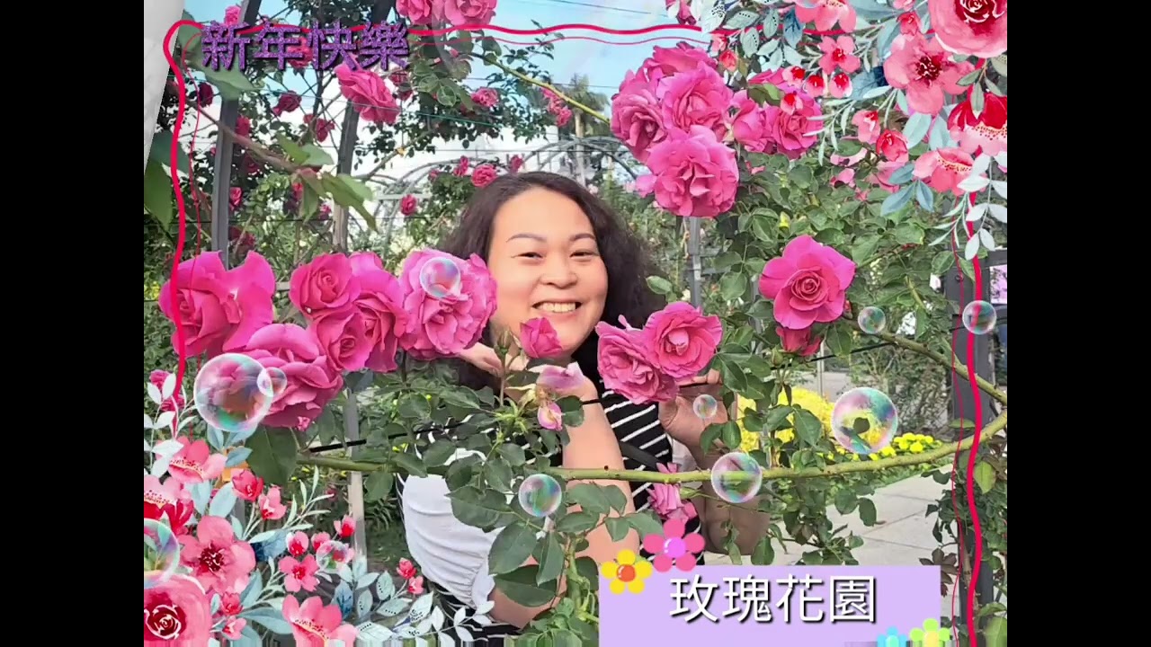 2026跟爺爺聚餐素食美食_玫瑰花園