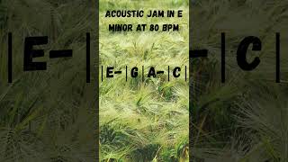 Acoustic Loop in E Minor at 80 BPM