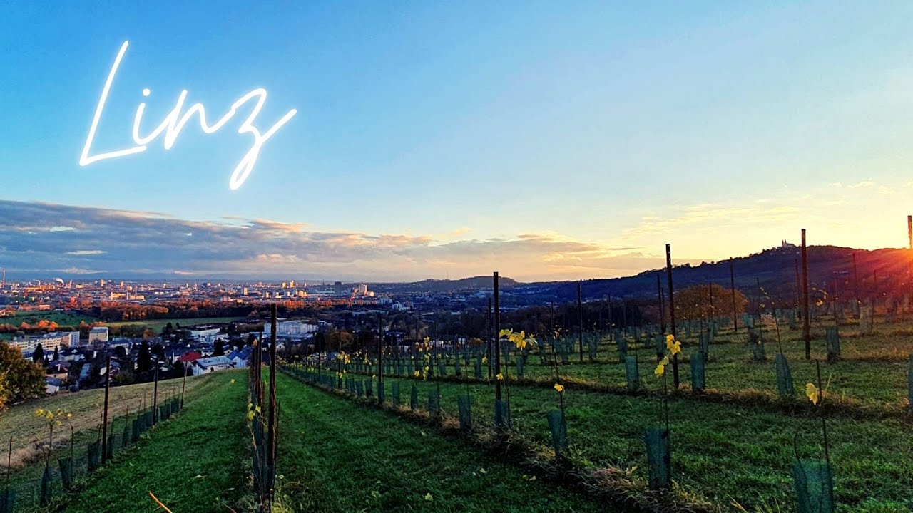 Linz, Fall 2021 / Gründberg, Urfahr: Enjoy The Season Of Epic Colors