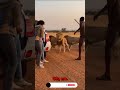 Brave Man Saves Tourists | Lion Rescue Moment 🦁🛡️ #Shorts