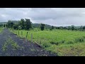 Agriculture land for sale at pali