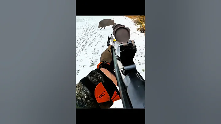 охота на кабана очень большого #chase#hunting #chasse#wildboar#challenge #cinghiale #snow