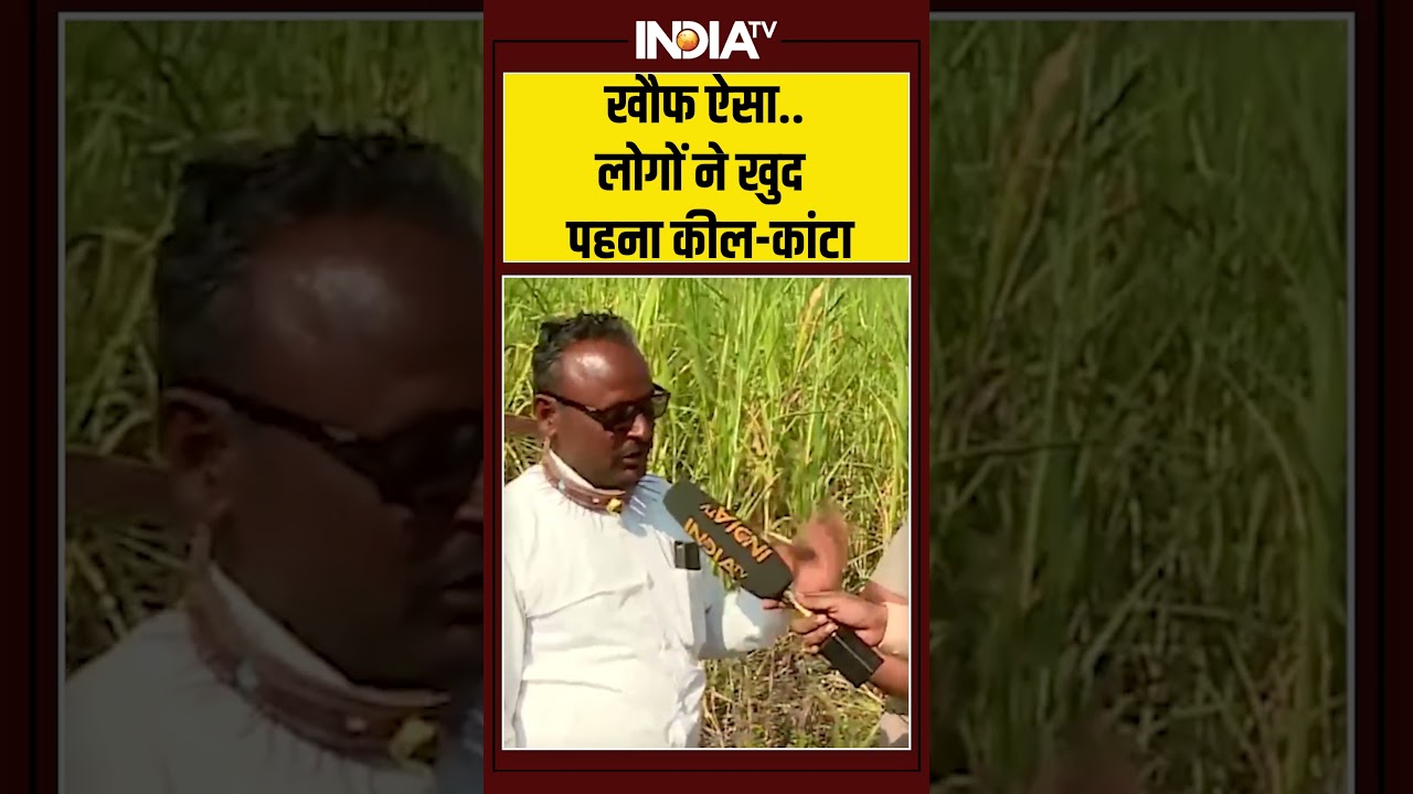 खौफ ऐसा.. लोगों ने खुद पहना कील कांटा #pune #maharashtra #tendua #ytshorts #indiatv