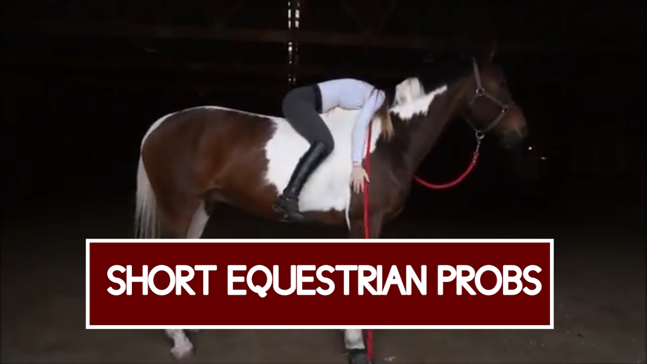 SHORT EQUESTRIAN PROBLEMS YouTube
