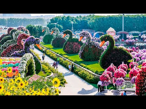 Video: Jardín De Flores En Junio. Obras Principales