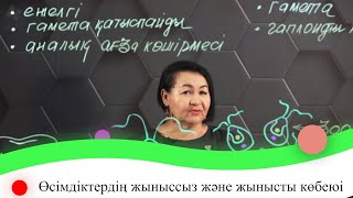 видео: Өсімдіктердің жыныссыз және жынысты көбеюі. 7 сынып. картинка: Өсімдіктердің жыныссыз және жынысты көбеюі. 7 сынып.
