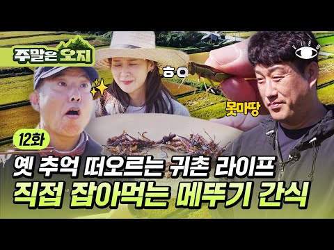 🏕12화 | &amp;quot;나야... 메뚜기&amp;quot; 꿈에 그리던 귀촌 생활에 메뚜기를 곁들인 귀촌 체험😲 [주말은 오지] 매주 (토) 밤 10시 채널뷰 본방송