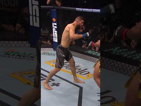 An absolute BRAWL #ufcwinnipeg