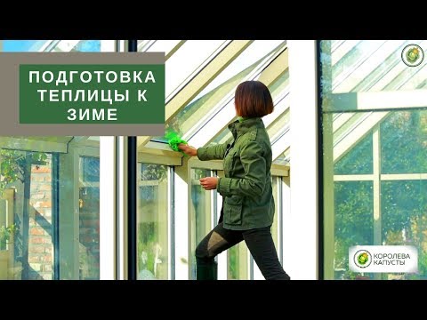 Подготовка теплицы к