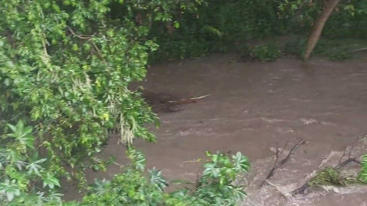 Perrin Creek running