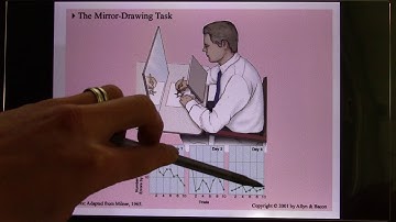 ACC Psyc2330 Biological Psychology Online Lecture Ch7 Memory02