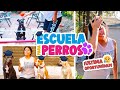 🐕‍🦺🦮🎒ESCUELA para OSO Y KODA en CASA 🏡🎓¡ÚLTIMA OPORTUNIDAD‼️ 🤯| Conny Merlin