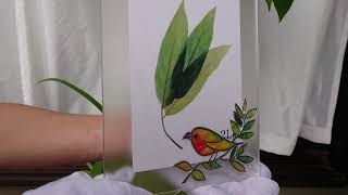 暮らしの中に光色を。グラスアート（フィルムステンドグラス）作品を販売します。これは、「オレンジの小鳥」のグラスアート作品で、フォトフレームとして使用できます。