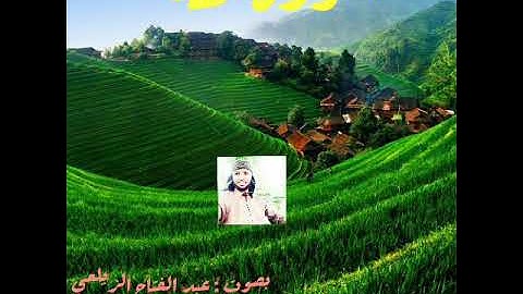 سورة طه . بصوت القارئ عبد الفتاح الزيلعي