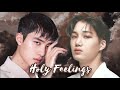 Fmv holy feelings  kaisoo