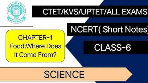 NCERT Science | Class 6 chapter 1 Food (Summary) for CTET | by - Arti Baghel | Advish Classes