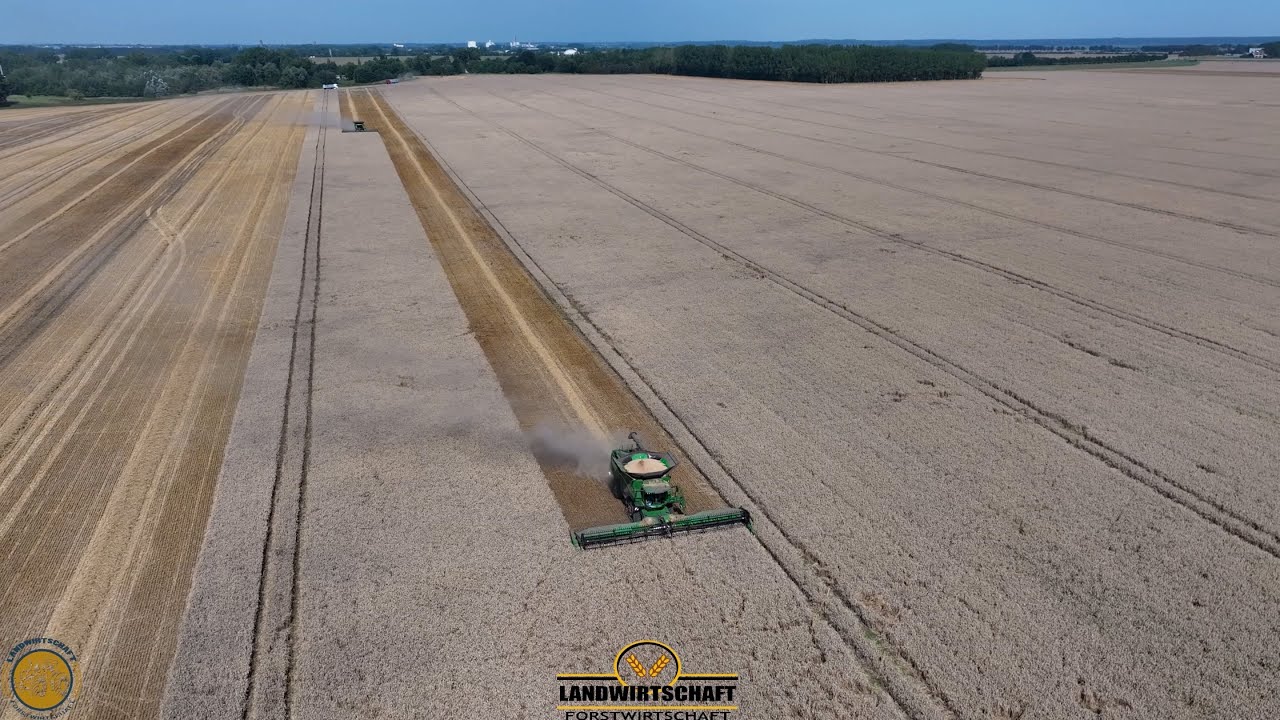 Wir Dreschen die 150ha Große Fläche an einem Tag! Baltic Agrar 6000ha Getreideernte 2 Mähdrescher