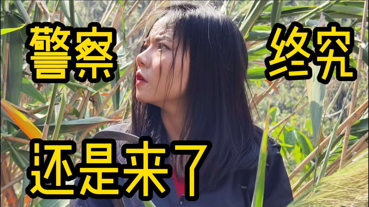 终于还是被举报，警察终究还是来了