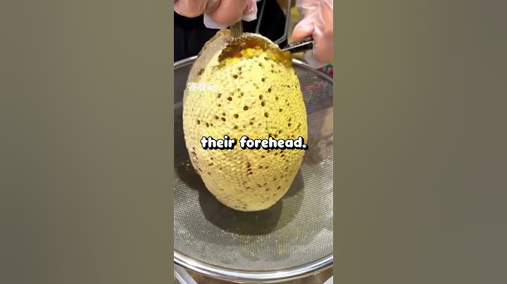 What’s the dumbest thing you’ve ever seen in class?