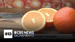 Heirloom Navel Oranges Lunch Break With Michael Marks