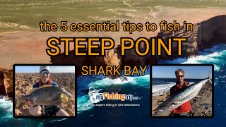 THE 5 ESSENTIAL TIPS TO FISH IN STEEP POINT