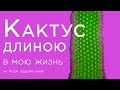 Гигантский КАКТУС, длиною в жизнь в горшке на подоконнике, кактус высотой почти 2м WEBERBAUEROCEREUS