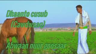 Abwaan Nuur Goosaardhaanto Cusubree Cawdwaaq Uqaadey2023