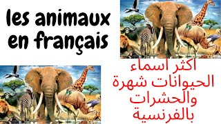 les animaux en français اسماء الحيوانات والحشرات بالفرنسية