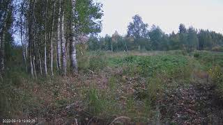 Natourest- Nature Tours in Estonia Live Stream screenshot 5
